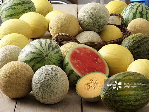 吃瓜的瓜蒂部分苦,揭秘苦味瓜蒂的成因与影响