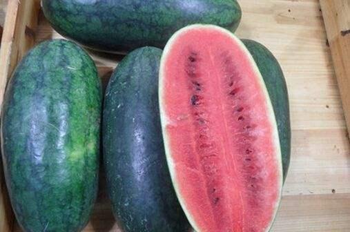 蓝黑吃瓜,揭秘吃瓜群众的狂欢盛宴