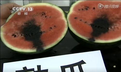 今年的吃瓜视频,盘点年度热门视频事件