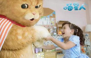 吃瓜群众月亮猫,网络红人的崛起之路