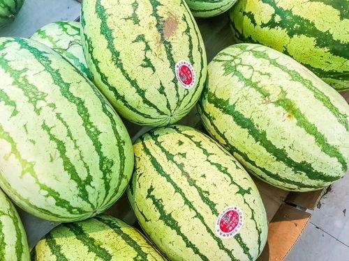 吃瓜为什么又叫杀瓜,揭秘网络流行语的演变与内涵