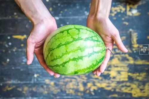 吃瓜为什么又叫杀瓜,揭秘网络流行语的演变与内涵