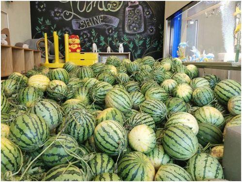 吃瓜最新免费,最新免费生成攻略大公开