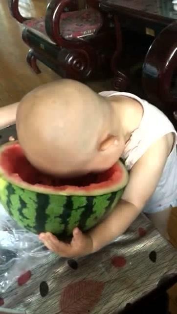 大头吃大瓜,揭秘网络热词背后的趣味与哲理