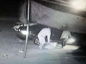 偷盗视频素材吃瓜,一场惊心动魄的“吃瓜”大戏