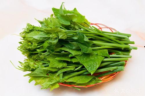 吃瓜尖好吗,网络热词背后的文化现象