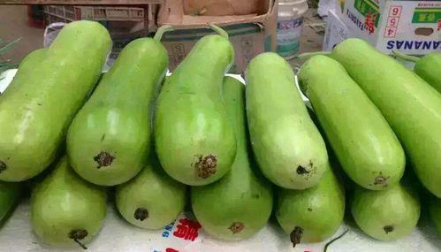 瓠瓜要怎么吃,解锁美味新境界