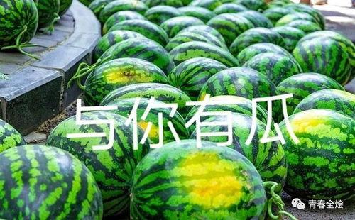 陕西吃瓜两夫妻,一场引发网友热议的邻里纠纷