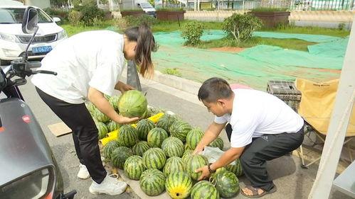 陕西吃瓜两夫妻,一场引发网友热议的邻里纠纷
