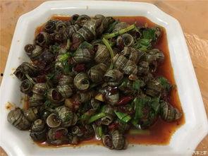 五一全网吃瓜,盘点那些爆笑、惊悚、感人瞬间