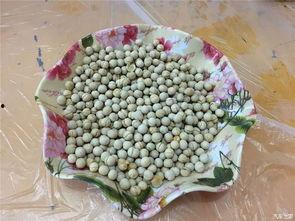 五一全网吃瓜,盘点那些爆笑、惊悚、感人瞬间