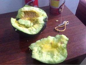 吃瓜吃瓤,揭秘吃瓜吃瓤的乐趣与技巧