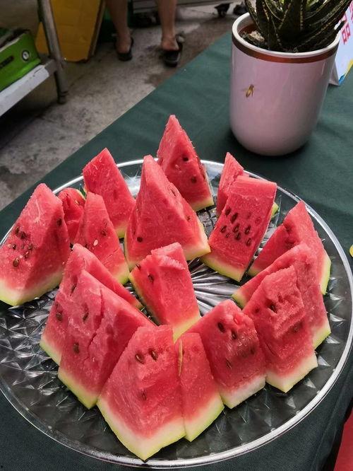 宁夏最新吃瓜事件,揭秘神秘幕后真相