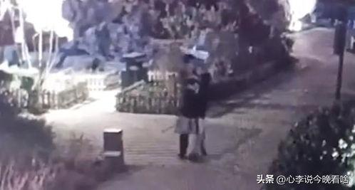 烟台莱山吃瓜事件视频播放,视频曝光引发网友热议