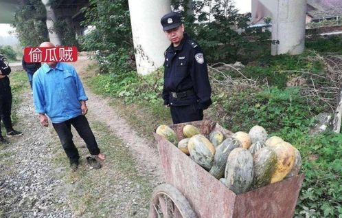 金湖公园吃瓜事件始末视频,一场引发热议的公共冲突始末