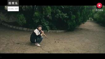 吃瓜大爷跳桥是哪一集视频,揭秘事件背后的真相与反思