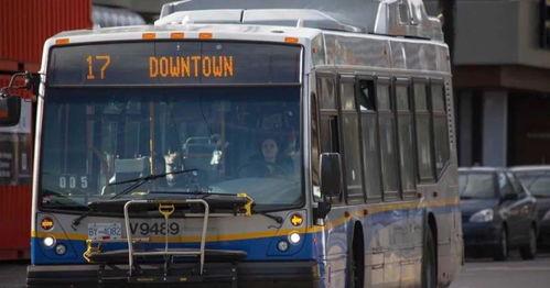 吃瓜群众打公交司机视频,事件背后引热议