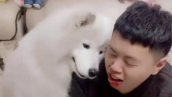 吃瓜狗真实视频,萌态百出，笑料连连